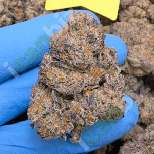 Acai Berry Gelato THCa Flower Wholesale