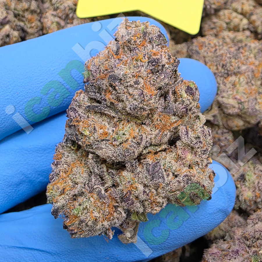 Acai Berry Gelato THCa Flower Wholesale