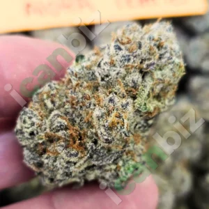 Aloha Truffle Strain