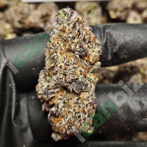 Blue Runtz THCa Flower Wholesale