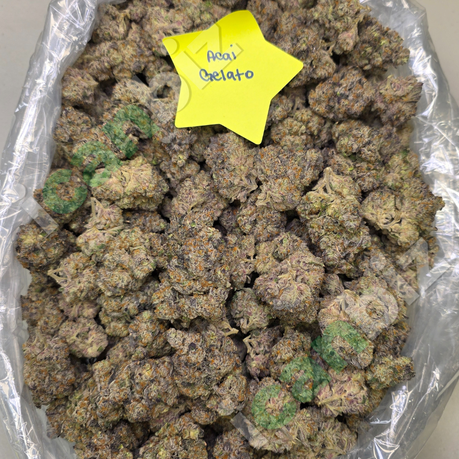 Bulk Acaiberry Gelato THCa Flower