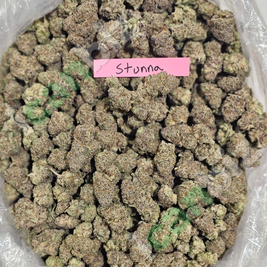 Bulk Stunna Flower Srain