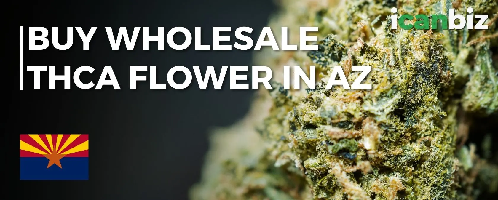 Buy Bulk THCa Flower Arizona