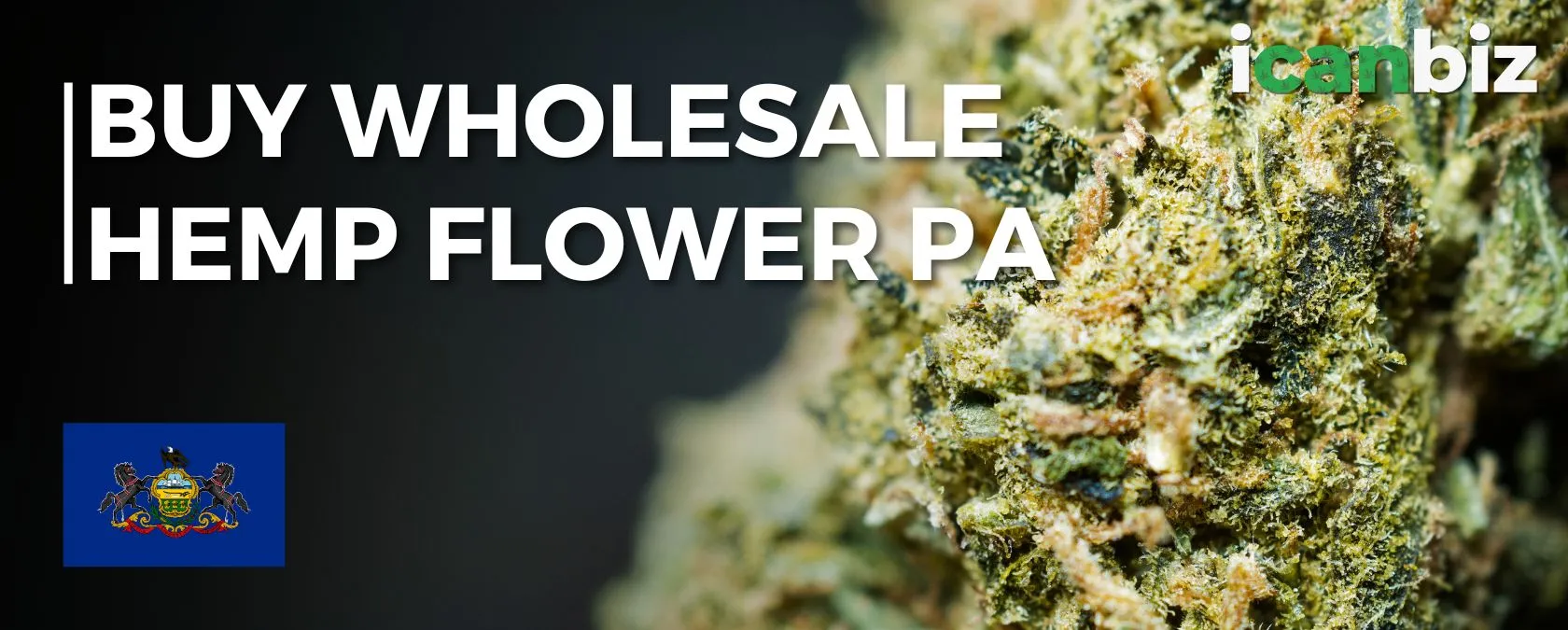 Buy Bulk THCa Flower – Pennsylvania
