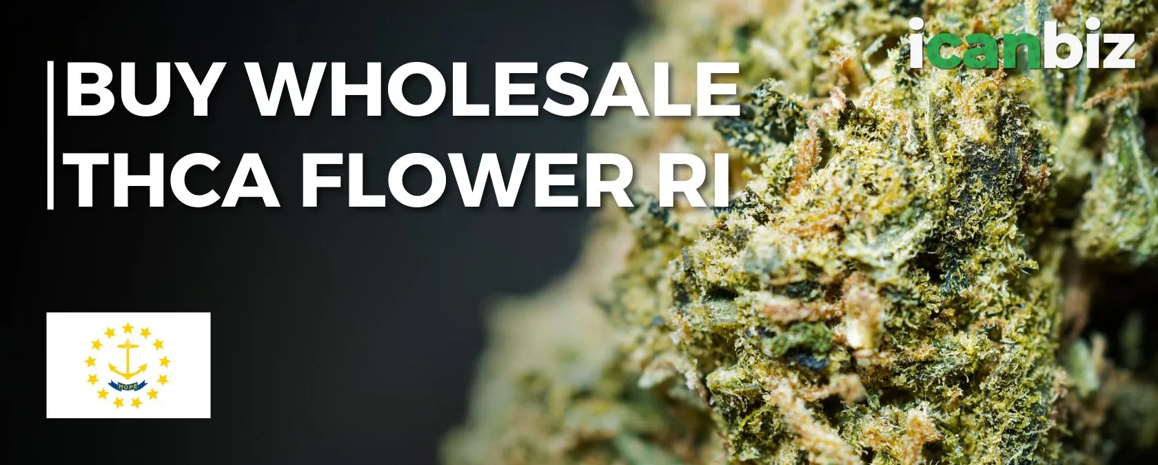 Buy Bulk THCa Flower Rhode Island
