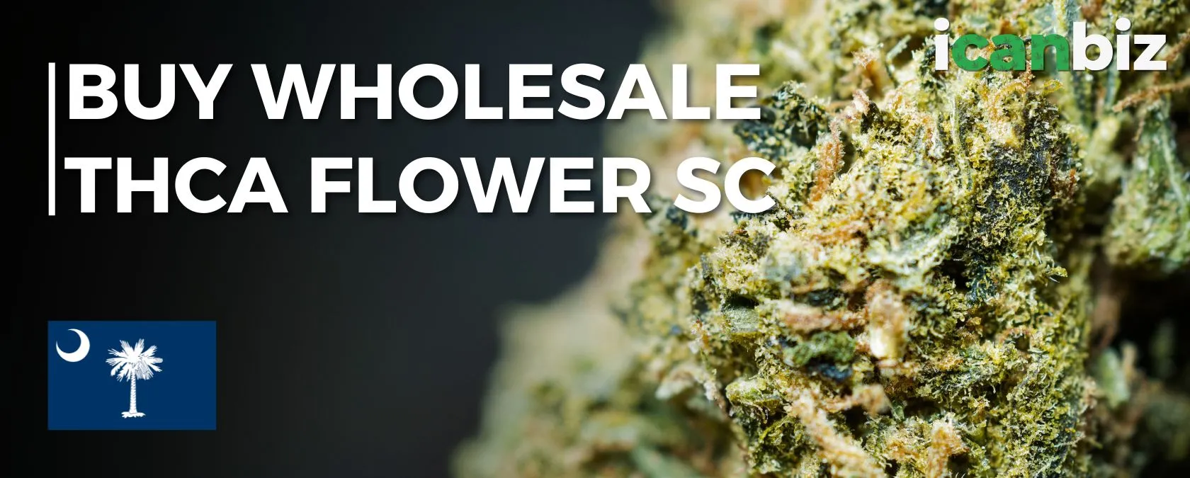Buy Bulk THCa Flower South Carolina