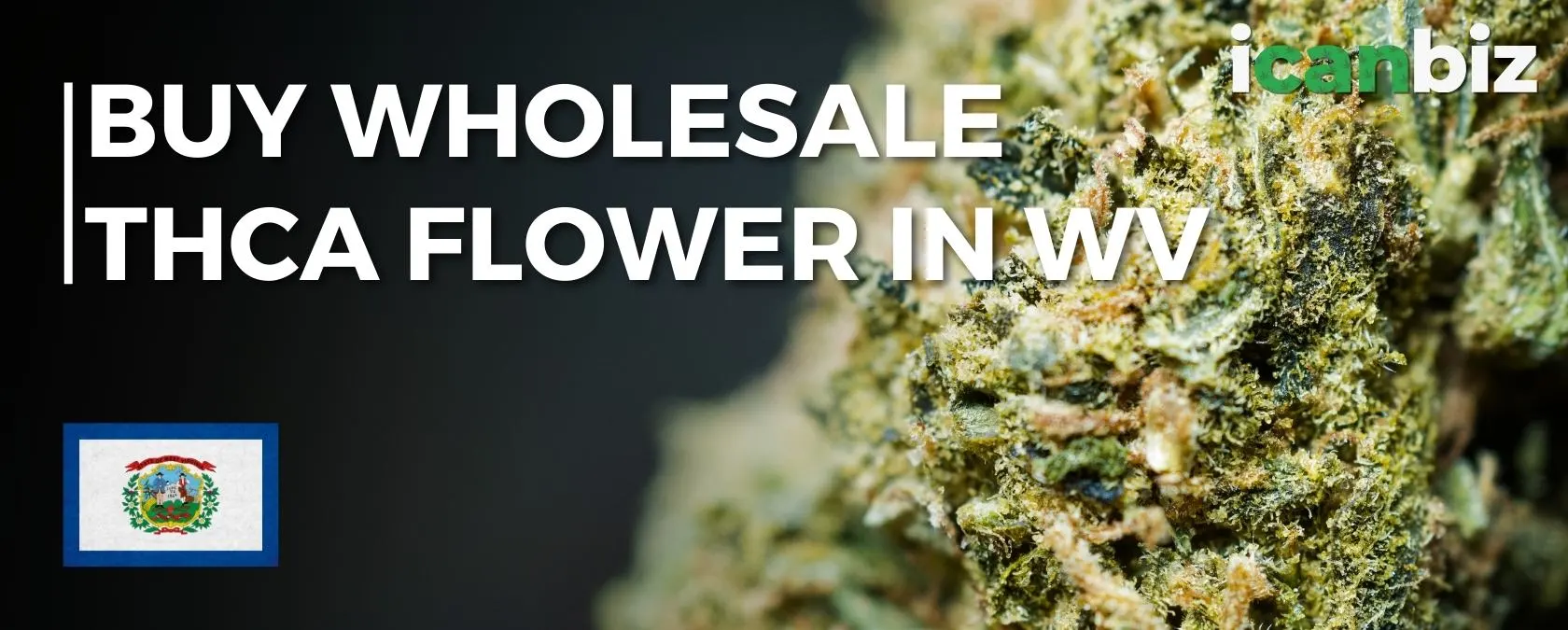 Buy Bulk THCa Flower West Virginia