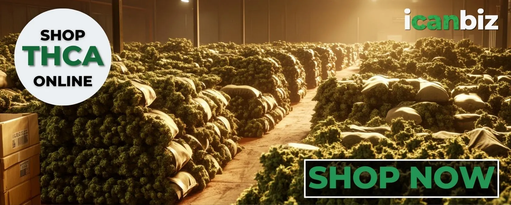 Buy Bulk THCa Flower Whoelsale Online