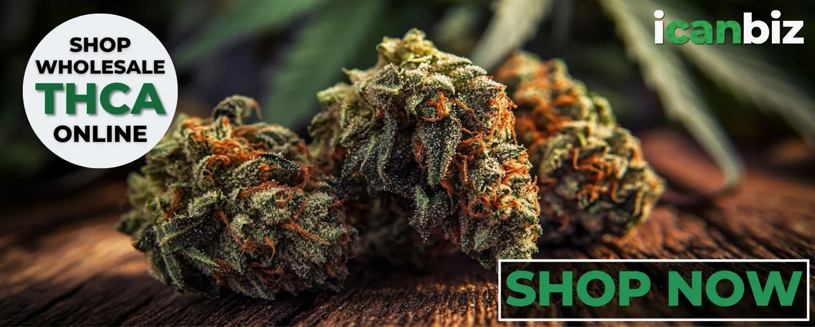 Buy Gorilla Truffle THCa Flower I Can Biz