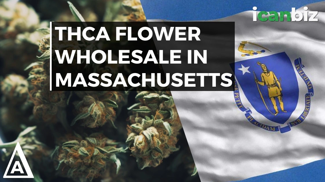 Buy THCa Flower Wholesale Massachusetts
