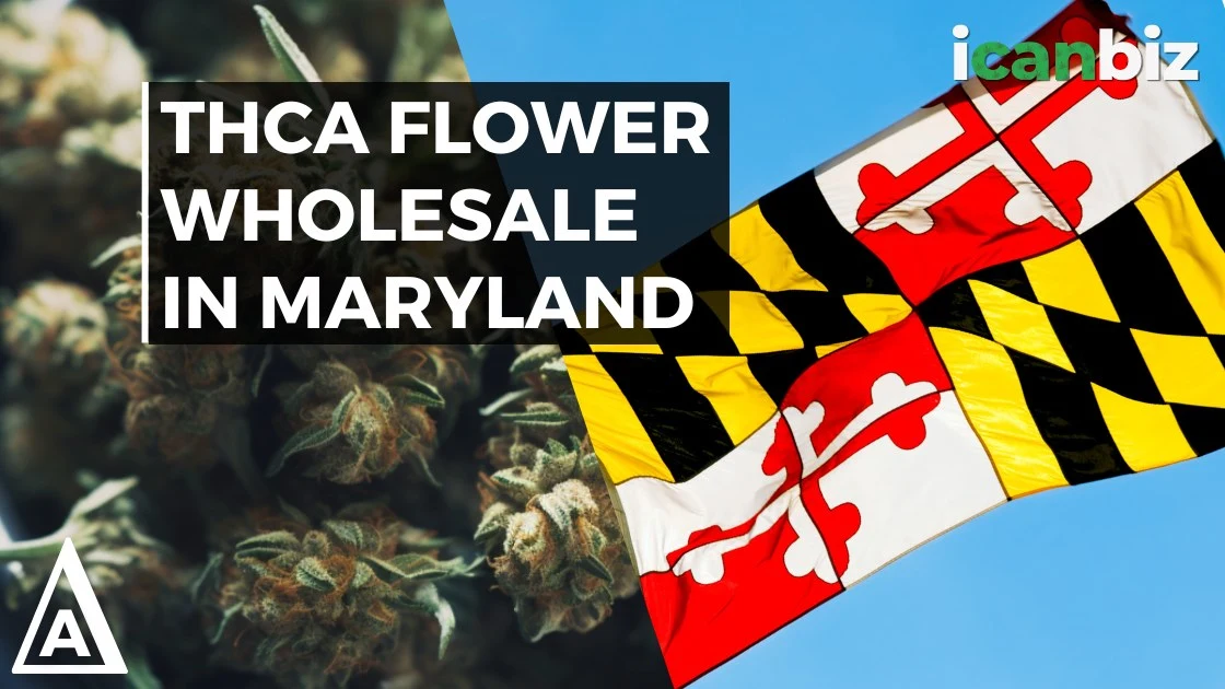 Buy THCa Flower Wholesale In Maryland