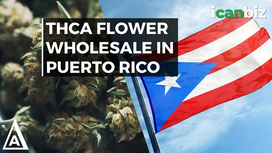 Buy THCa Flower Wholesale In Puerto Rico