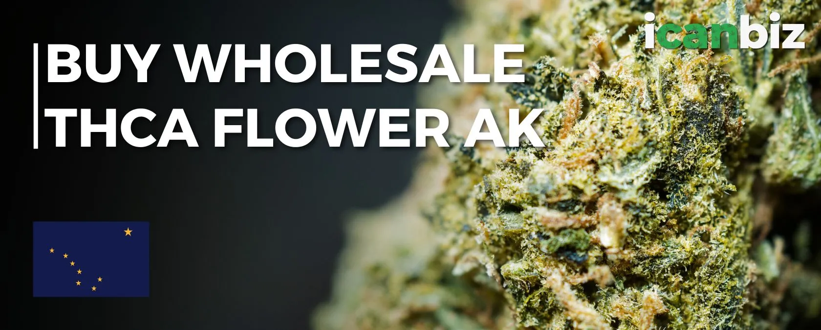 Buy Wholesale THCa Flower Alaska