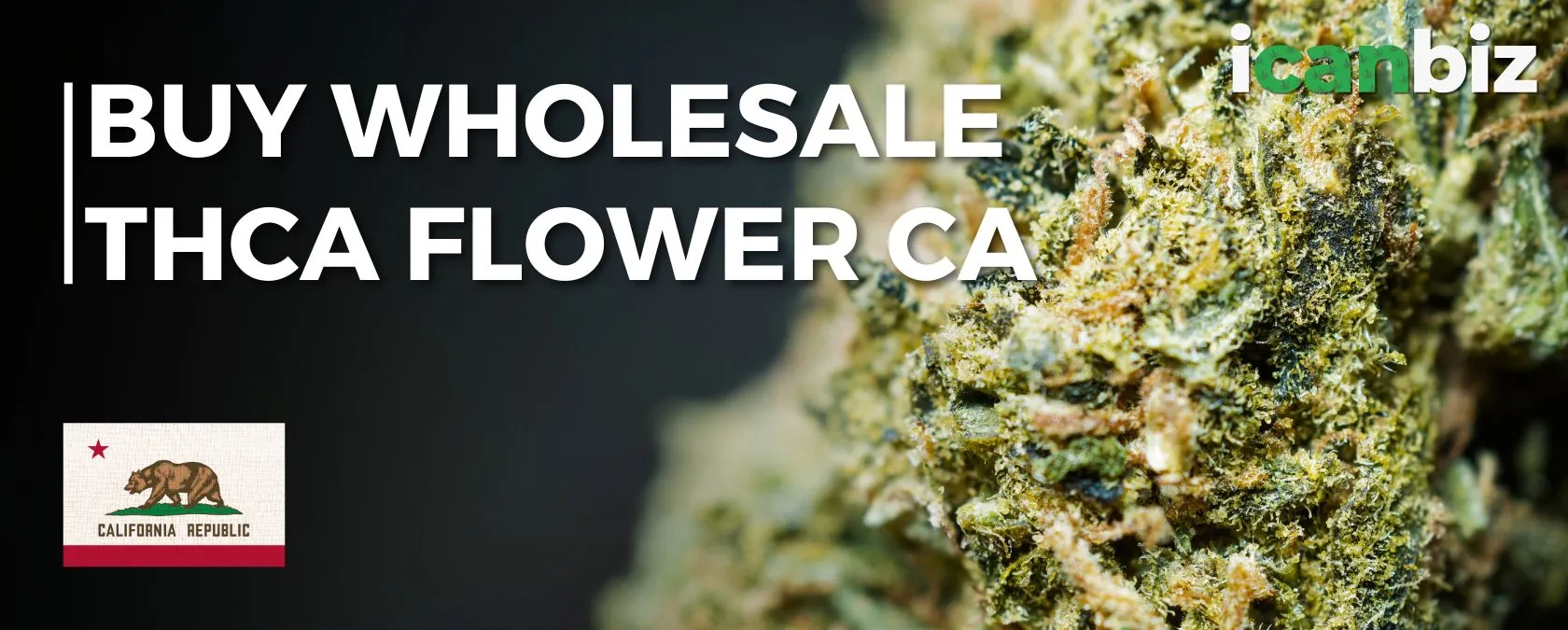 Buy Wholesale THCa Flower California