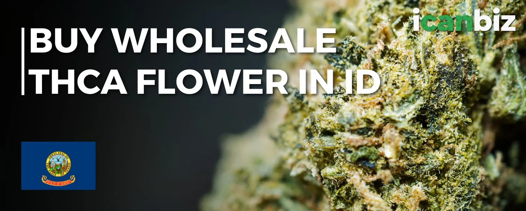 Buy Wholesale THCa Flower Idaho