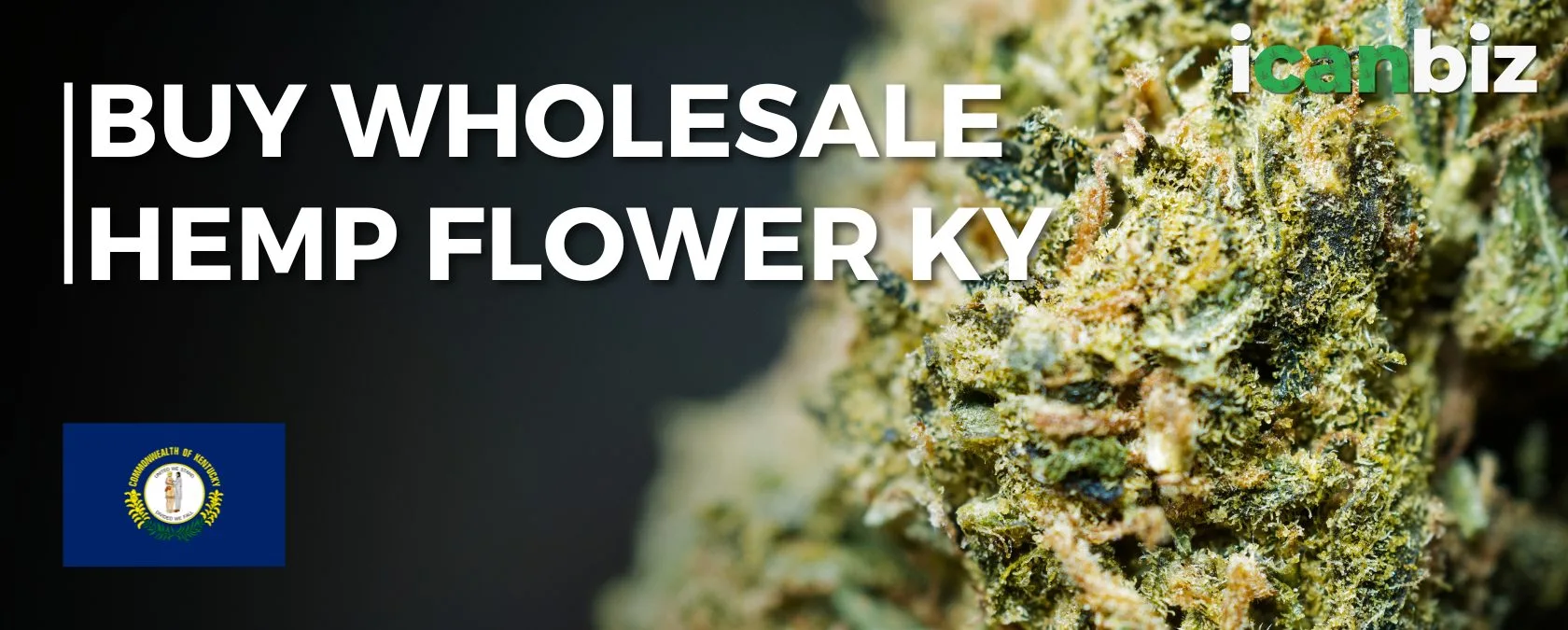 Buy Wholesale THCa Flower Kentucky