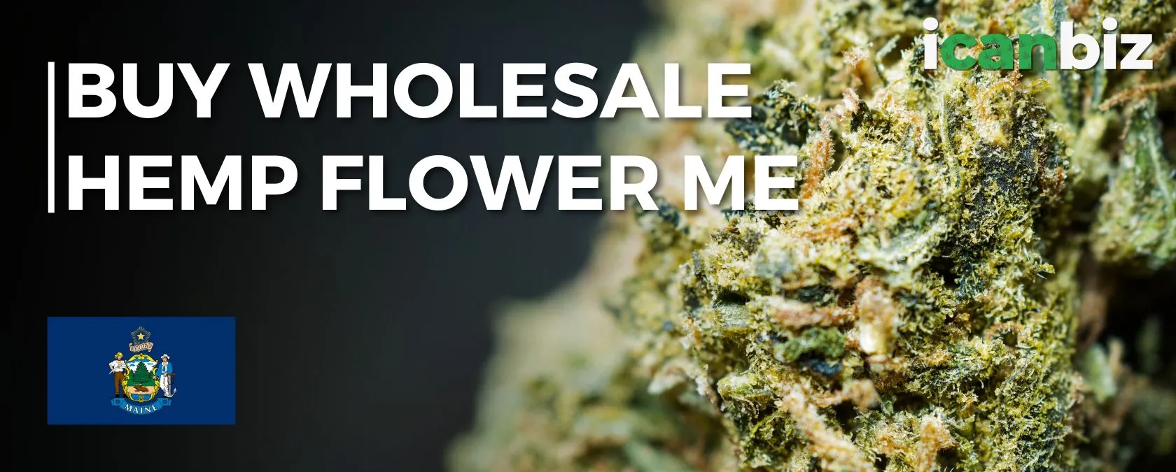 Buy Wholesale THCa Flower Maine