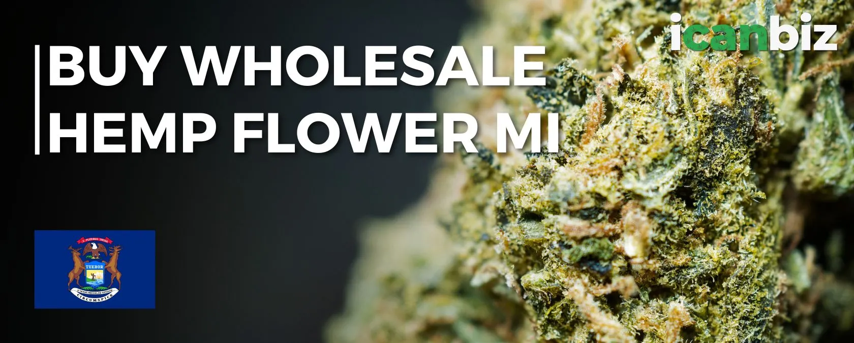 Buy Wholesale THCa Flower Michigan