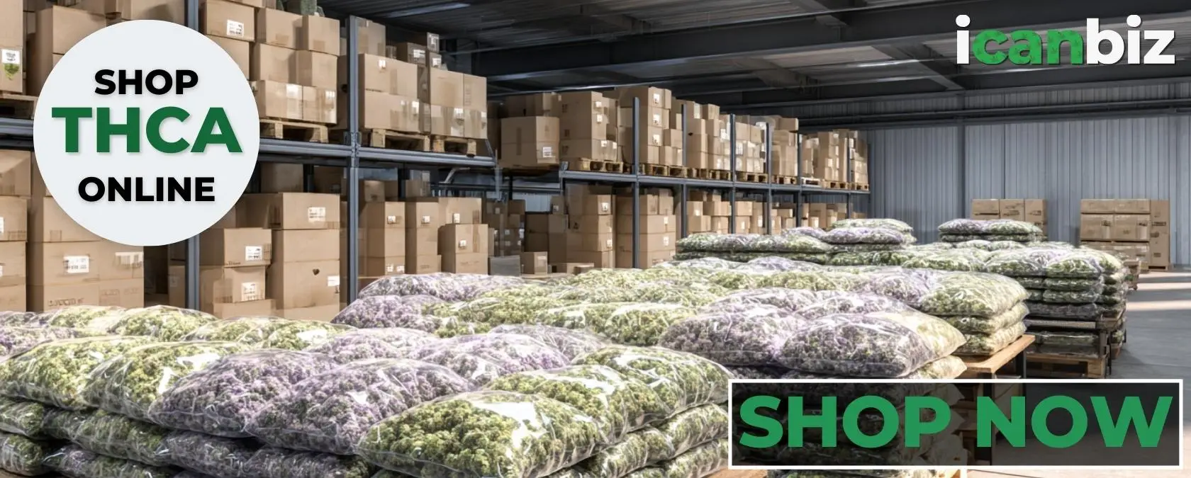 Buy Wholesale THCa Flower Near Me