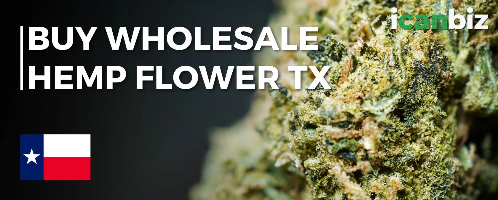 Buy Wholesale THCa Flower Texas