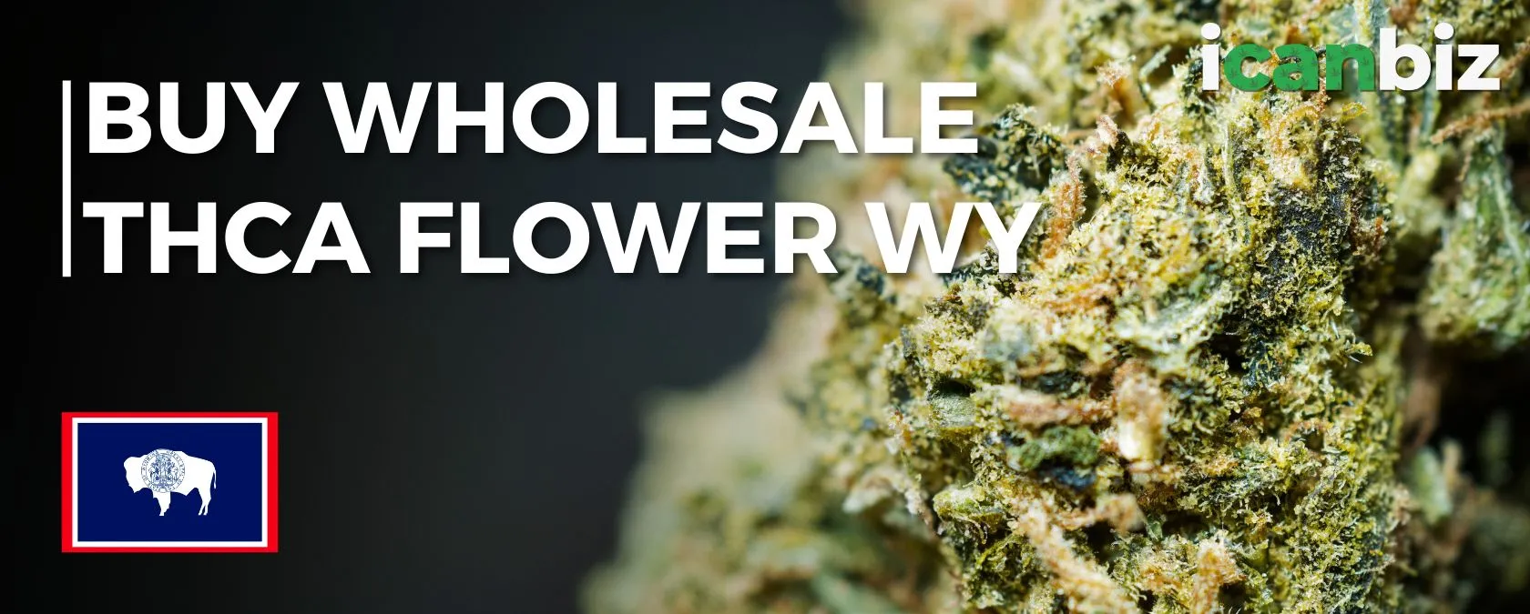 Buy Wholesale THCa Flower Wyoming