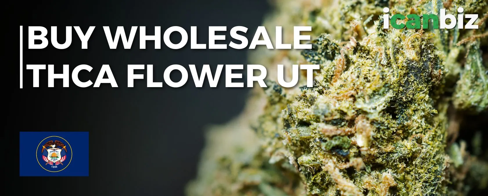 Buy Wholesale THCa Flower In Utah