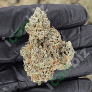 Dantes Inferno THCa Flower Wholesale