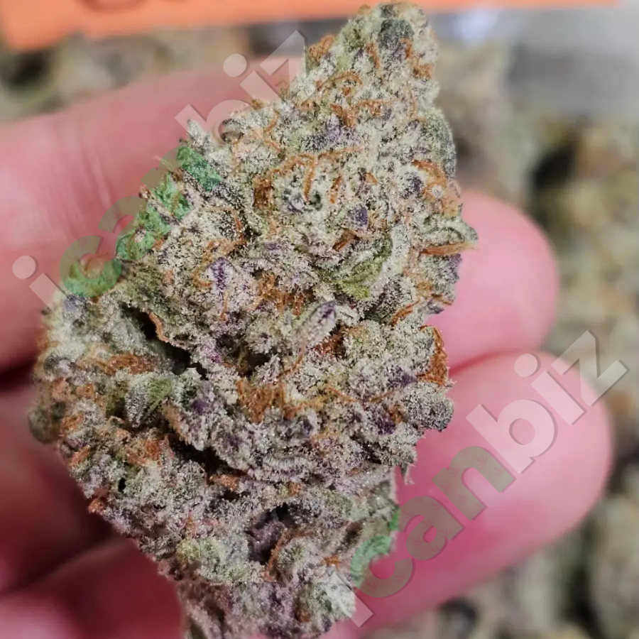 Devil Driver THCa Flower Strain