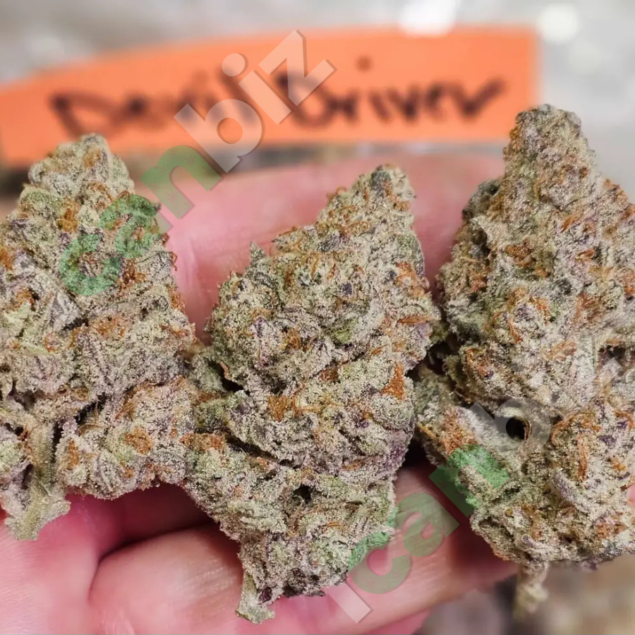 Devil Driver THCa Flowers