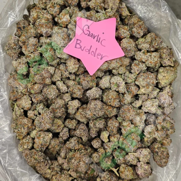 Garlic Budder Wholesale THCa Flower