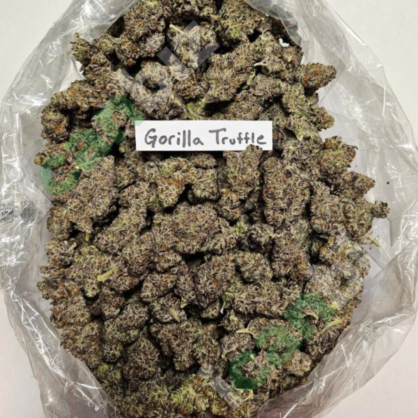 Gorilla Truffle Strain