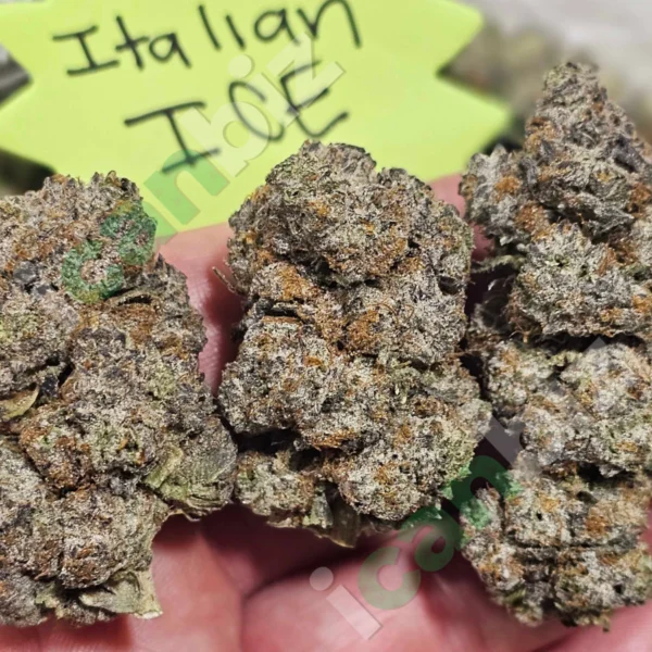 Italian Ice THCa Flower Bulk