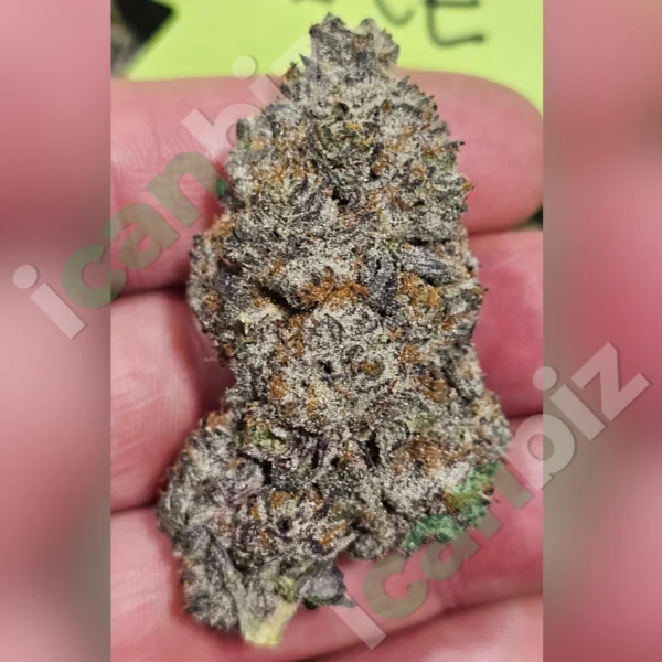 Italian Ice THCa Flower Wholesale