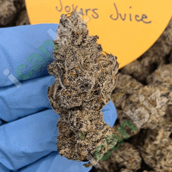Jokers Juice THCa Flower Wholesale