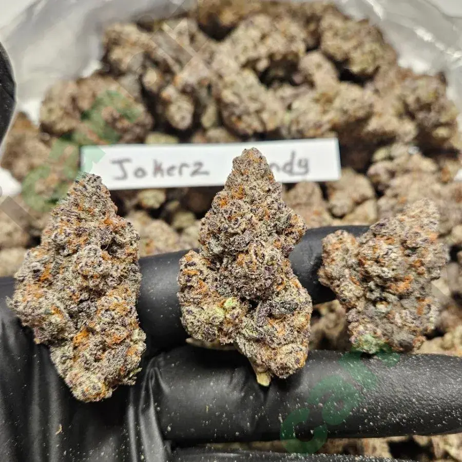Jokerz Candy THCa Flower Strain