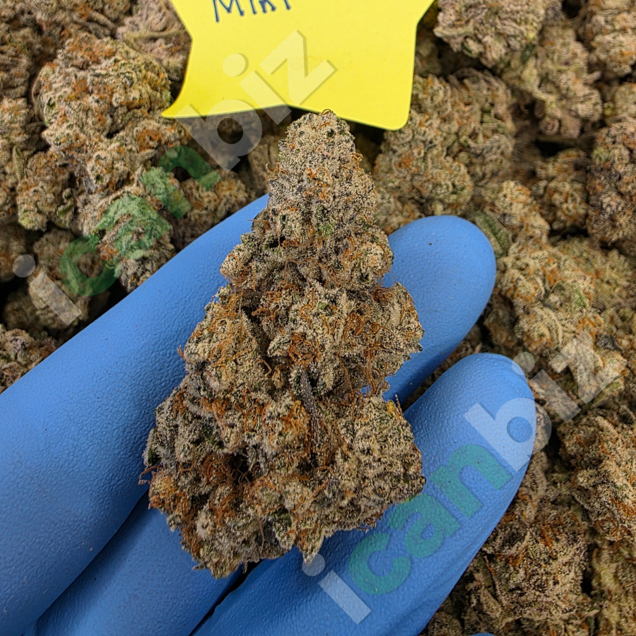 Mint Tao Wholesale THCa Flower