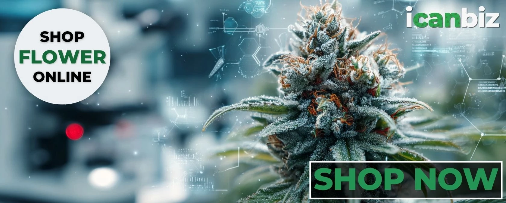 Modern THCA Potency – Shop