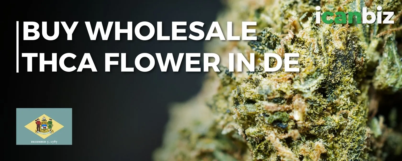 Order Bulk THCA Flower Delaware