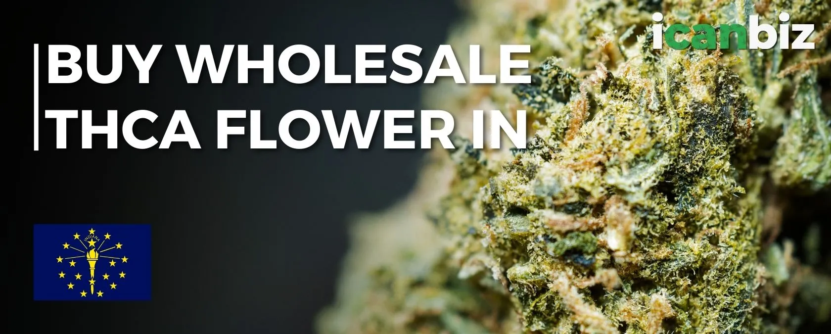Order Bulk THCa Flower Indiana