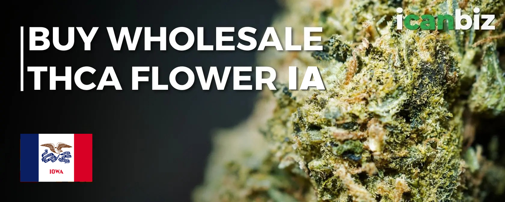 Order Bulk THCa Flower Iowa
