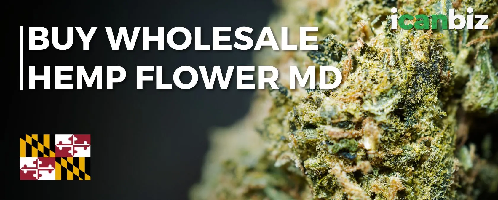Order Bulk THCa Flower Maryland