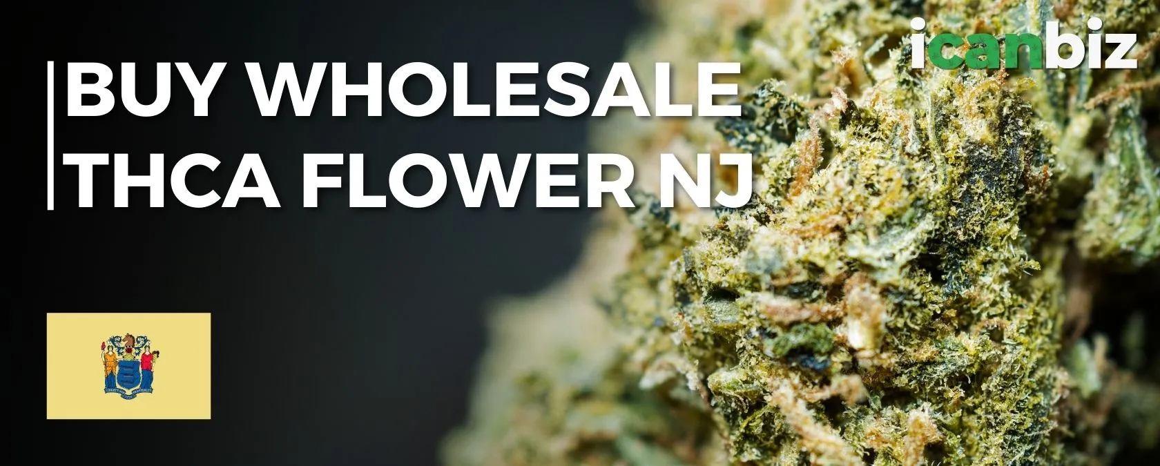 Order Bulk THCa Flower New Jersey