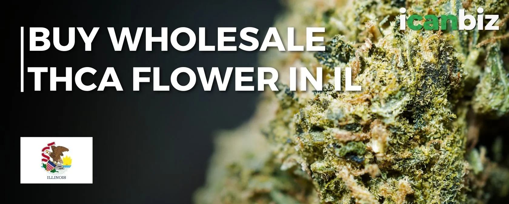 Order Bulk Thca Flower Illinois