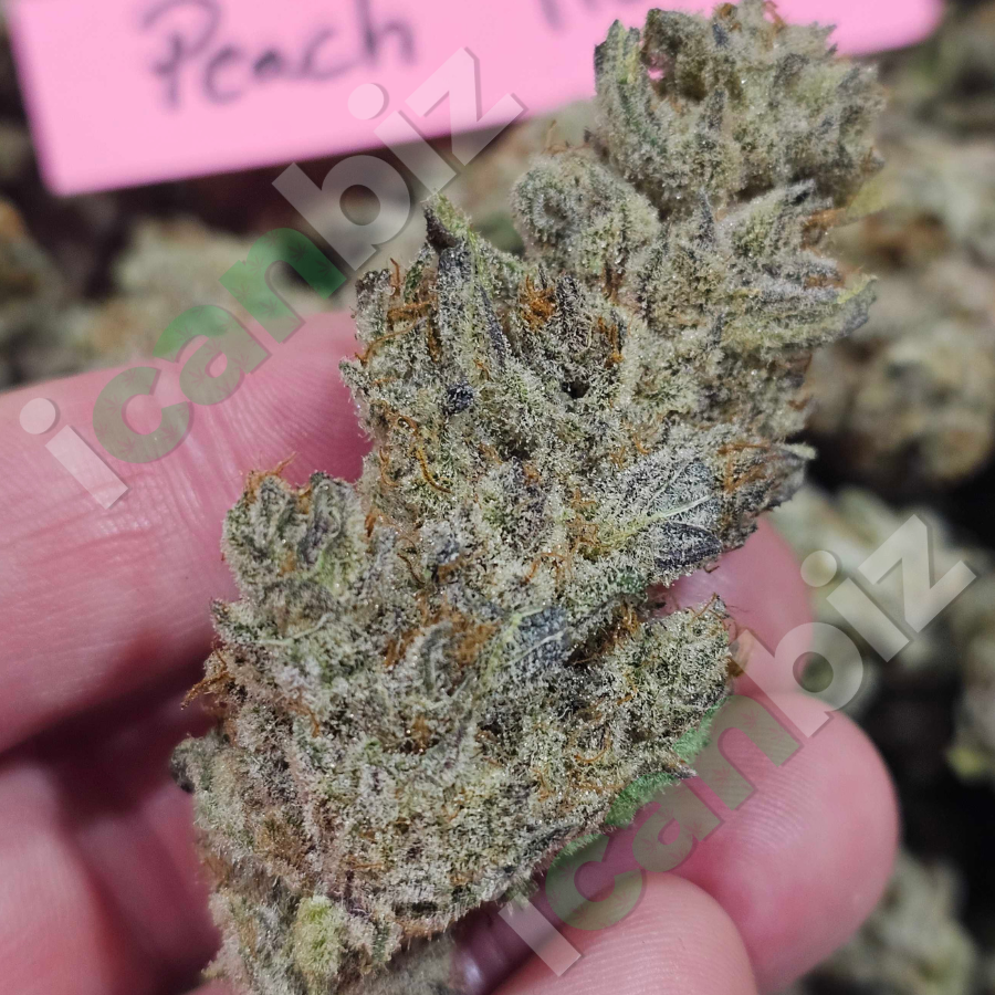Peach Truffle THCa Flower Strain