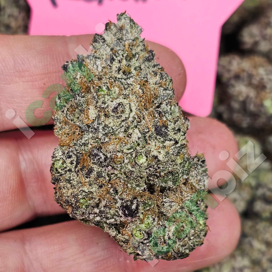 Roxanne THCa Flower Strain Wholesale