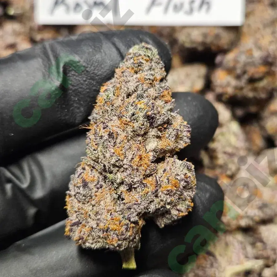 Royal Flush THCa Flower