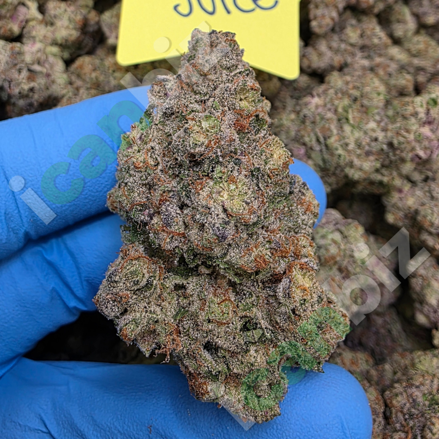 Secret Juice Wholesale THCa Strain