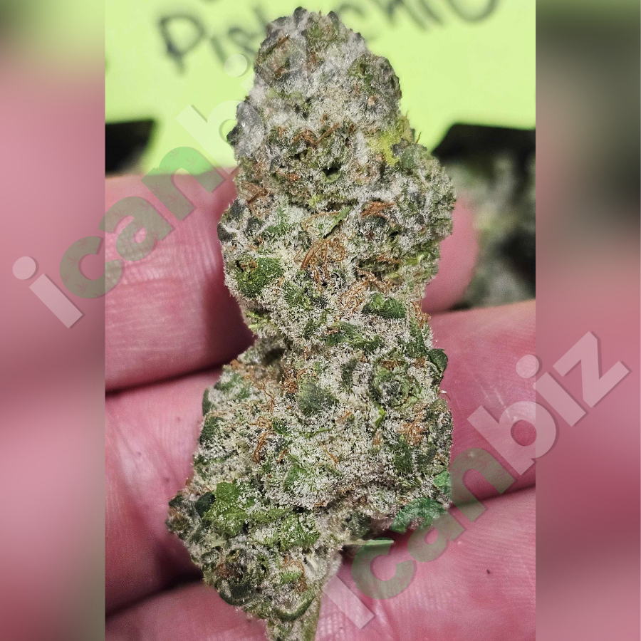 Sour Pistachio THCa Flower Strain