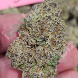 Stunna THCa Flower Strain wholesale