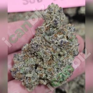 Sub Zero THCa Flower Strain wholesale